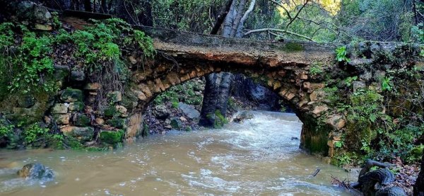  | موسوعة القرى الفلسطينية