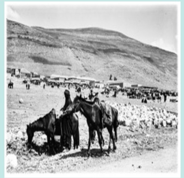 سوق الخيل في قرية الخالصة