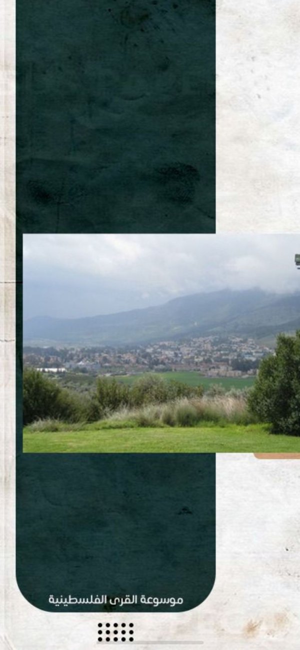 تصاميم قرية الخالصة/ المصور أحمد نبهان