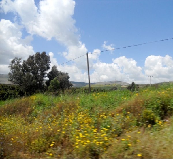  | موسوعة القرى الفلسطينية