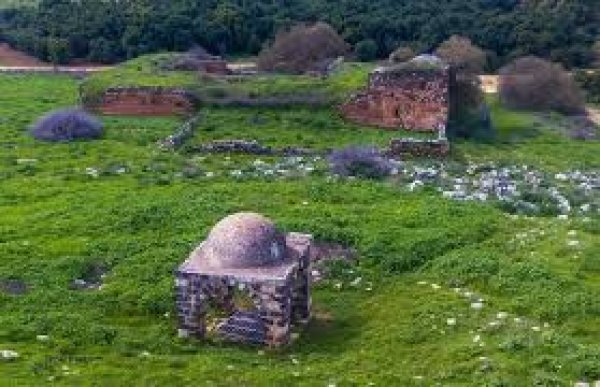  | موسوعة القرى الفلسطينية