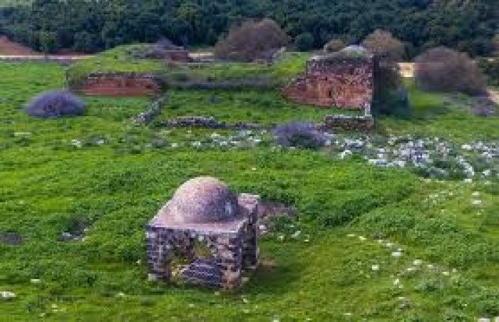 جُبْ يوسف/ عرب السيَّاد  | موسوعة القرى الفلسطينية