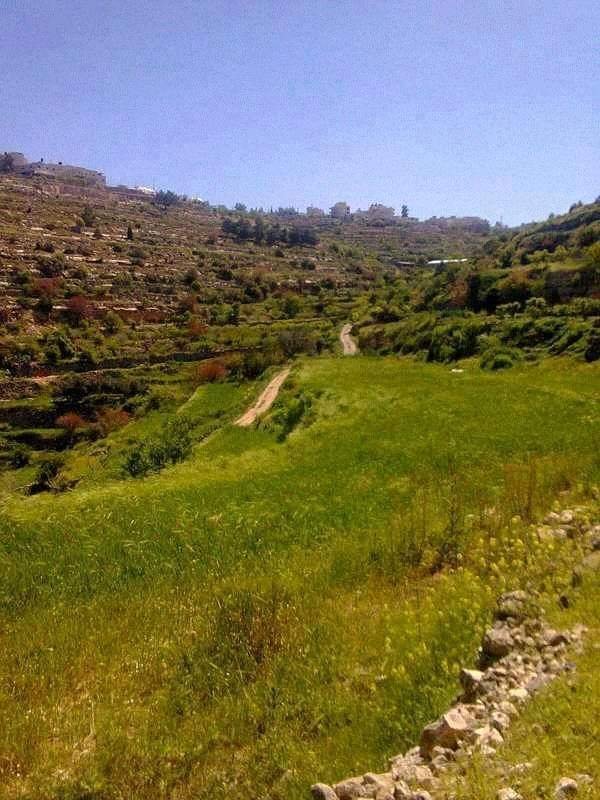  | موسوعة القرى الفلسطينية