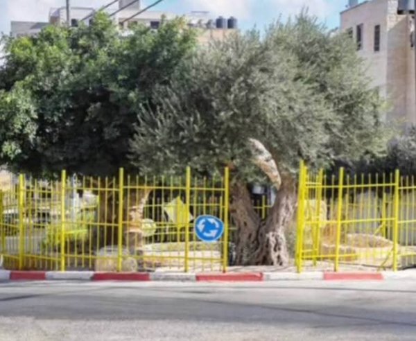  | موسوعة القرى الفلسطينية