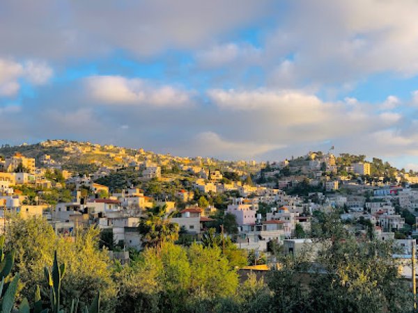 صوريف / الخليل