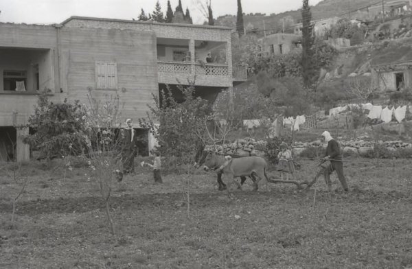  | موسوعة القرى الفلسطينية