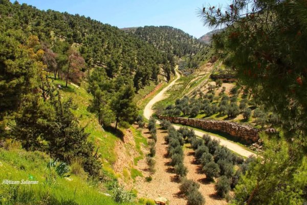  | موسوعة القرى الفلسطينية