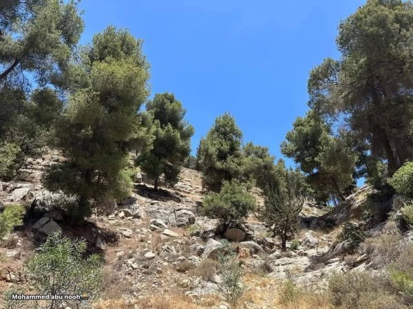  | موسوعة القرى الفلسطينية