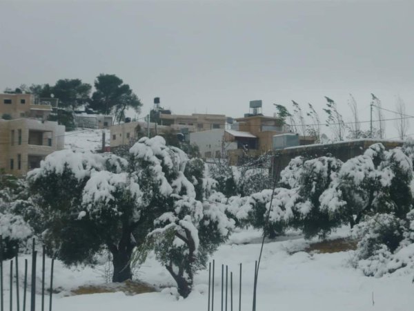  | موسوعة القرى الفلسطينية