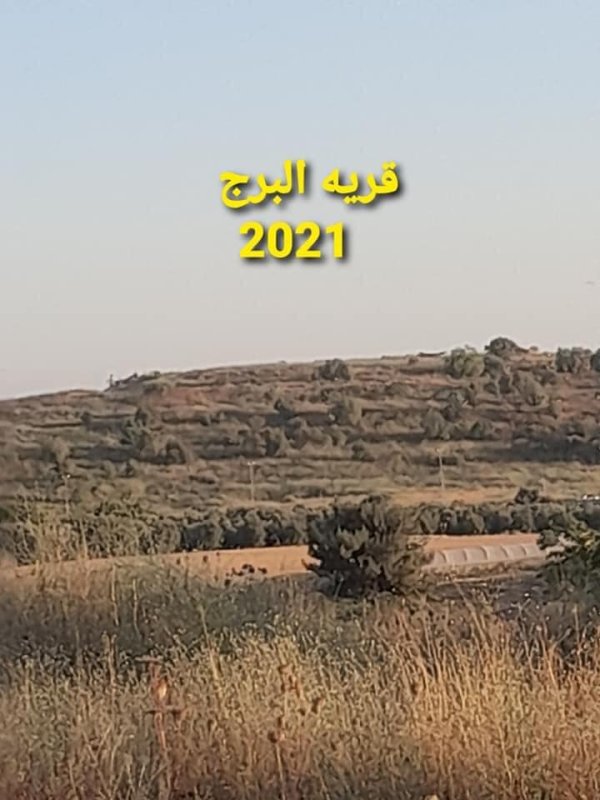 قرية البرج / الرملة