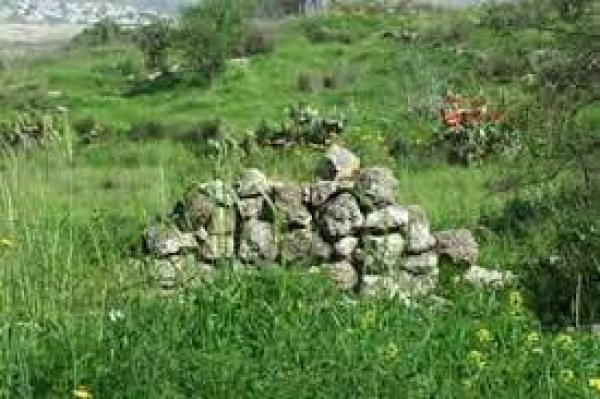 قرية البرج / الرملة