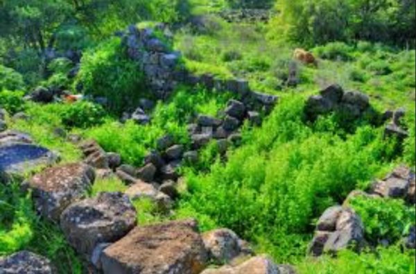  | موسوعة القرى الفلسطينية