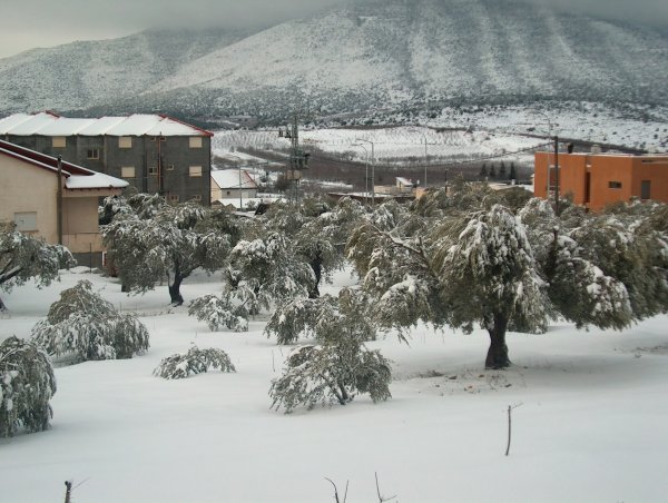  | موسوعة القرى الفلسطينية