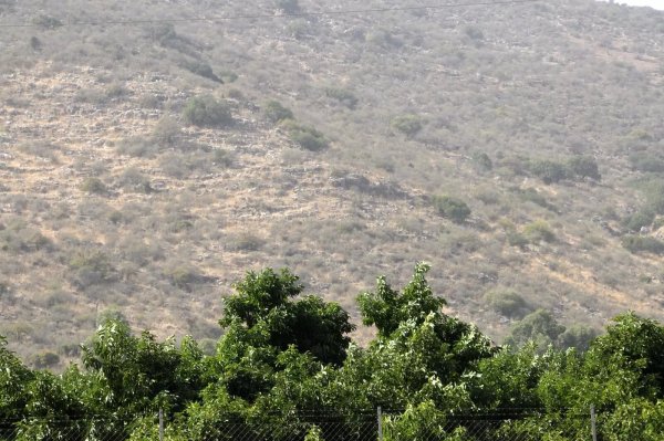 الجزء الجنوبي من القرية وتظهر أكوام الحجارة التي ربما تكون بقايا المنازل المهدمة، نقلاً عن موقع فلسطين في الذاكرة