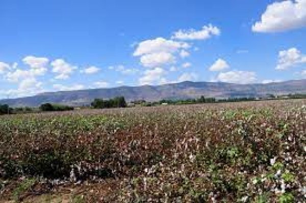 قرية الدوارة