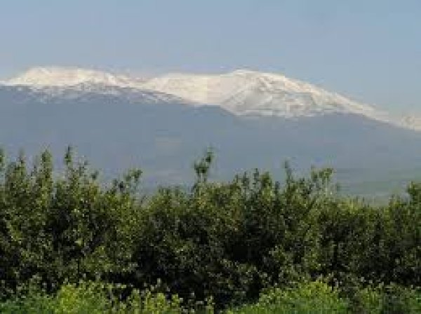 قرية الدوارة