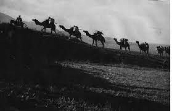 قرية الدوارة