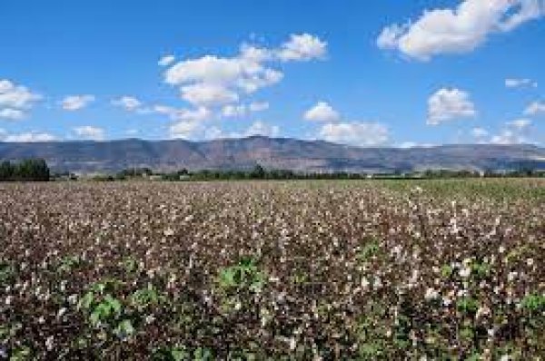 قرية الدوارة