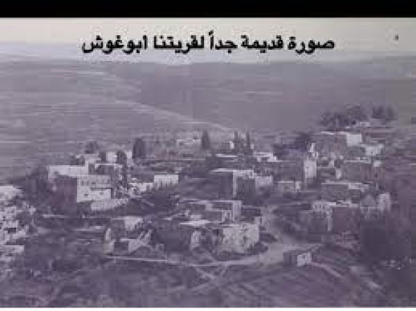 قرية أبو غوش