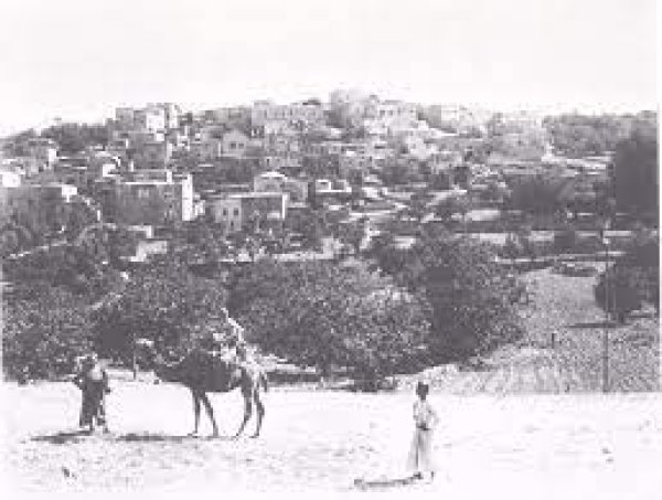 قرية أبو غوش