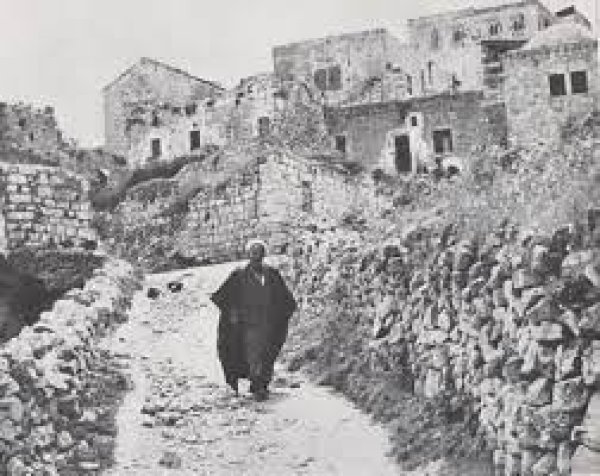 قرية أبو غوش