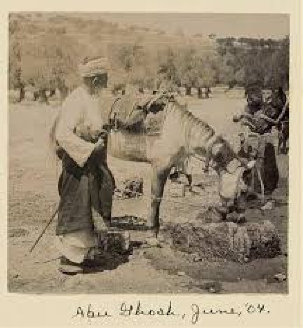 قرية أبو غوش