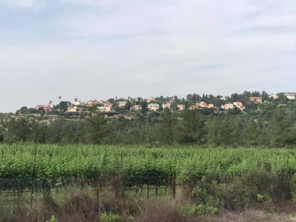 قرية أبو غوش / القدس