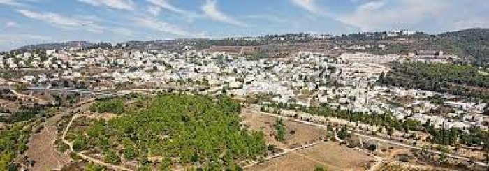 أبو غوش / قرية العنب / من قرى الكرسي  | موسوعة القرى الفلسطينية