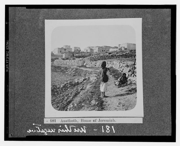 صورة قديمة من قرية عناتا