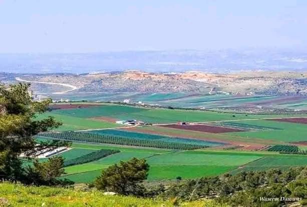 صور من منطقة عين ناموس المحاذية لبلدة قطنة شمال غرب القدس وقد تم منع الأهالي من الدخول اليها عندما تم وضع جدار الفصل العنصري ومصادرتها .