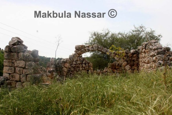  | موسوعة القرى الفلسطينية