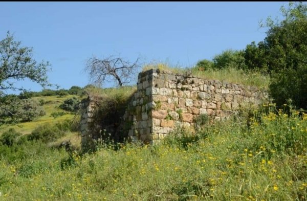  | موسوعة القرى الفلسطينية