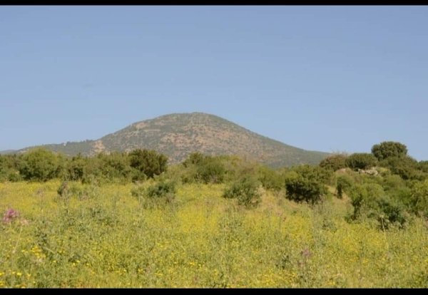  | موسوعة القرى الفلسطينية