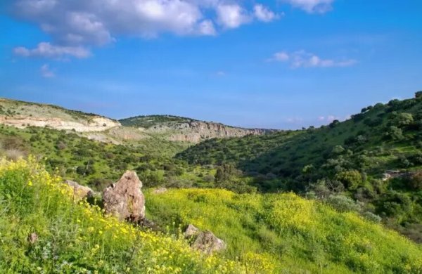  | موسوعة القرى الفلسطينية