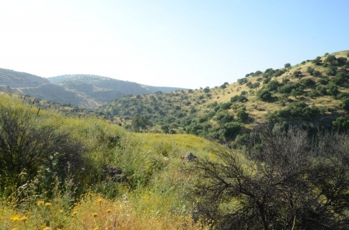 الشُّونَة/ صفد  | موسوعة القرى الفلسطينية