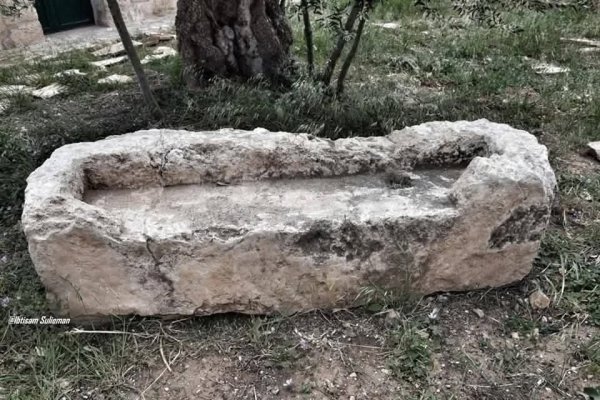 [8:17 ص، 2025/6/12] راكان محمود: https://www.facebook.com/share/r/1Fk9jt9nPn/ [11:44 ص، 2025/6/12] راكان محمود: بيت آل عبد الهادي  (بيت الأفندي ) في خربة  واد عارة المهجرة (  هناك قرية مهجرة تحمل اسم وادي عارة إضافة للمنطقة المعروفة بهذا الاسم  )  تقع في المدخل الغربي لمنطقة وادي عارة  وتحدها من الشرق أم القطف ومن الشمال كفر قرع . بلغ عدد سكانها عشية النكبة 400 نسمة  وقد هجّر سكانها في آذار 1948 . بعضهم لجأ إلى كفر قرع  وبعضهم إلى أم القطف وبرطعة  وطورة ويعبد  والبعض الآخر لجأ إلى الأردن .  نقلا عن البروفيسور مصطفى كبها [11:47 ص، 2025/6/12] راكان محمود: من البلدة القديمة في مدينة البيرة من محافظة رام الله والبيرة [11:49 ص، 2025/6/12] راكان محمود: مقام الدوير، يقع المقام جنوب شرقي قرية مخماس على قمة تلة خربة الدوير المطلة على وادي الصوانيت، تم بناء المقام في القرن الثالث عشر الميلادي كما ويجاوره بئران ماء تاريخيين يعود أحدهماّ للفترة الرومانية.   . Ibtisam Sulieman نقلا عن وتصوير  من محافظة رام الله والبيرة