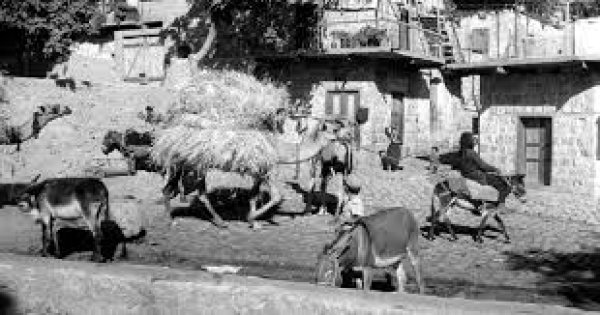  | موسوعة القرى الفلسطينية