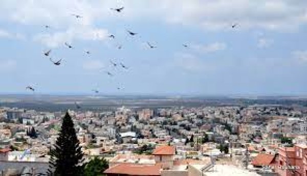  | موسوعة القرى الفلسطينية