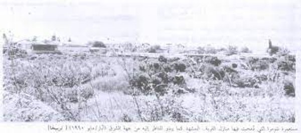 قرية تربيخا / عكا