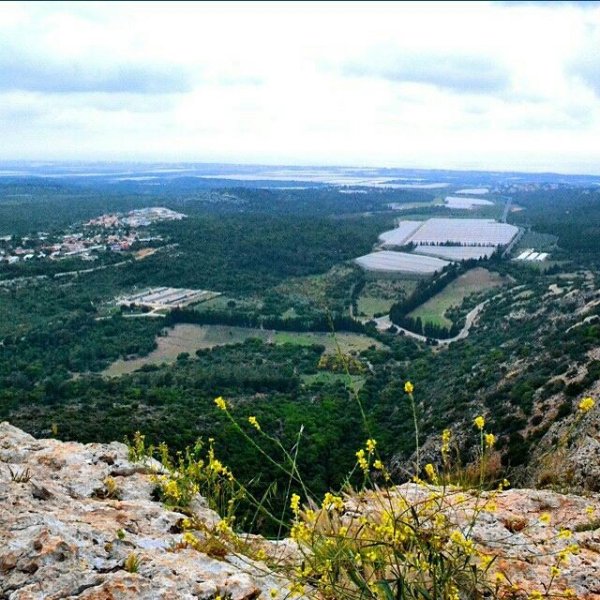  | موسوعة القرى الفلسطينية