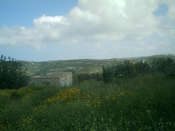  | موسوعة القرى الفلسطينية