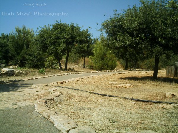  | موسوعة القرى الفلسطينية