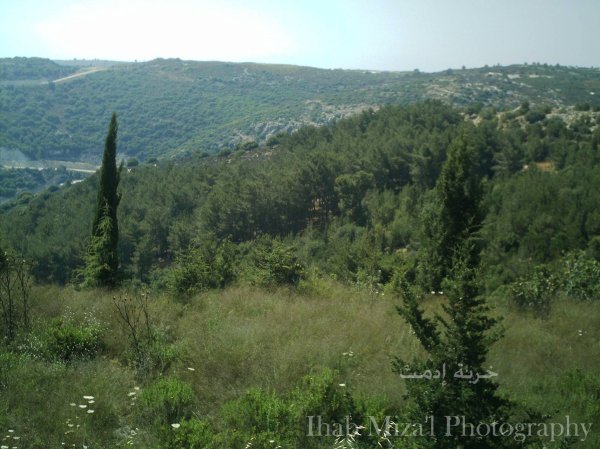  | موسوعة القرى الفلسطينية