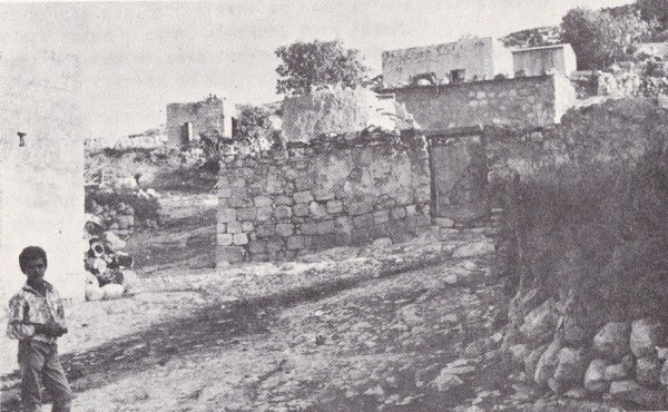 قرية شعب / عكا