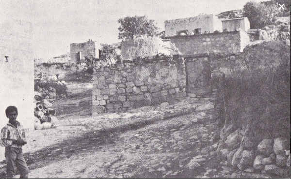 قرية شعب / عكا