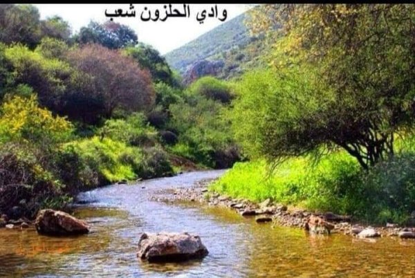 قرية شعب / عكا