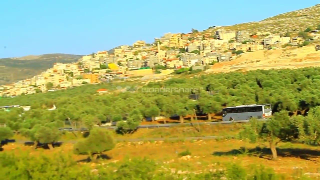 قرية شعب المهجرة  / عكا