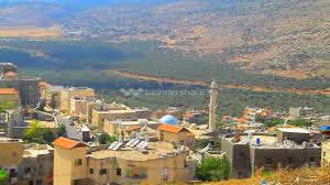 قرية شعب المهجرة  / عكا