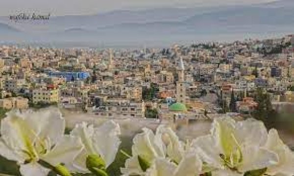  | موسوعة القرى الفلسطينية