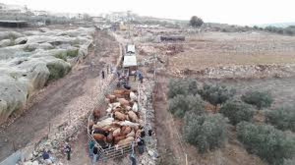  | موسوعة القرى الفلسطينية